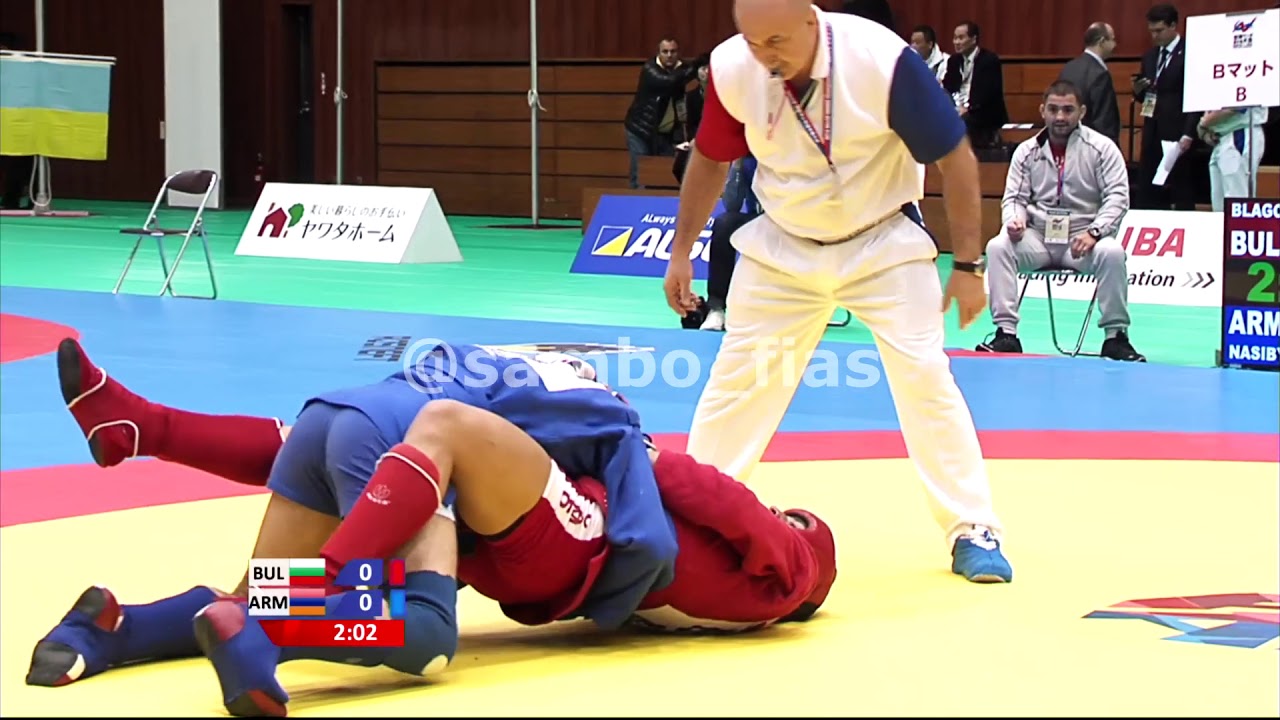 Nasibyan (Armenia) Combat SAMBO Vine
