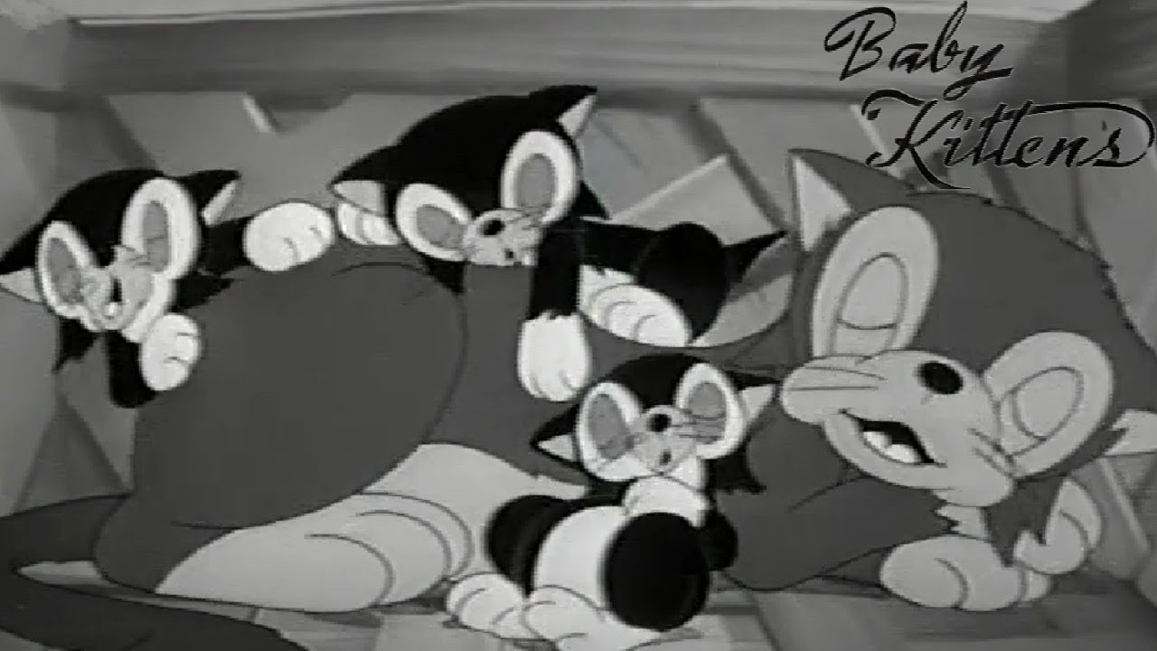 Baby Kittens 1938 Walter Lantz Cartune Cartoon Short Film