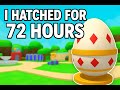 i hatched EVERY SECRET AND INFINETY PET IN 72 HOURS
