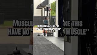 Muscular Dudes Arent Functional