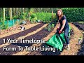 1 year on our land timelapse  self sufficient uk farmstead