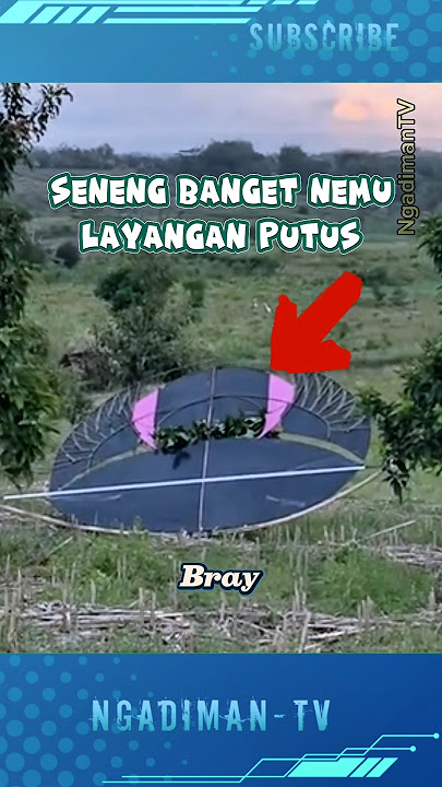 SENANGNYA DAPAT LAYANGAN PUTUS #shortsvideo #trending #viralvideo #layangan