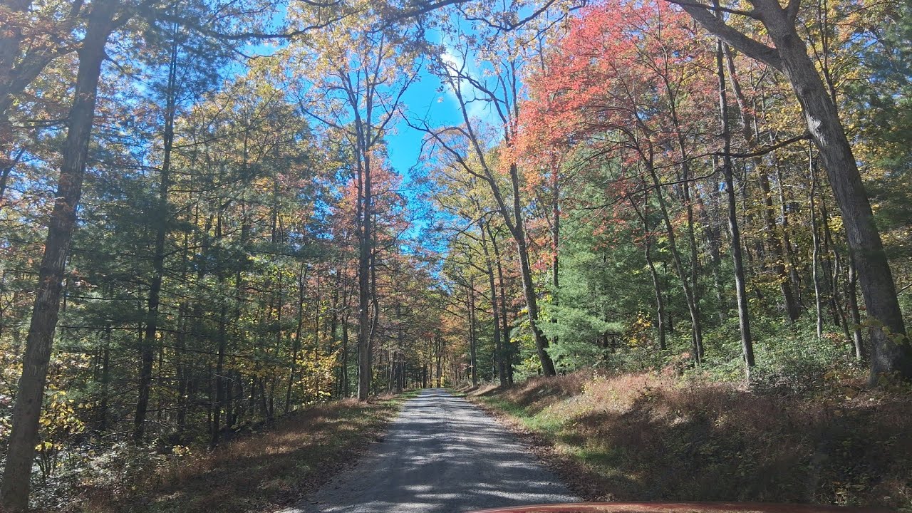 Fall Foliage Report. 10/17/25. Rothrock Colors!