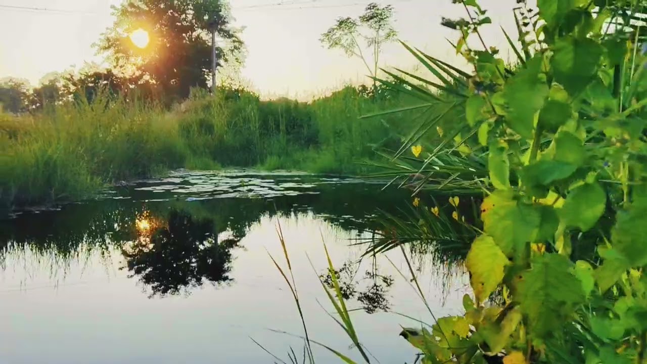   Papular editing for village 3d shorts # life editor channelplease likes and subscribe this channel