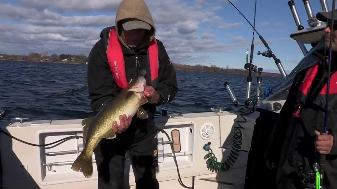 The Fish Finders Bay of Quinte Walleye YouTube