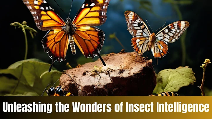Unleashing the Wonders of Insect Intelligence