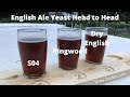 3 English Ale Yeasts [Side By Side Comparison!] - Brew Dudes