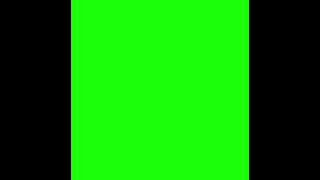 Efek green screen burung terbang