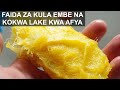FAIDA ZA KULA EMBE NA KOKWA LAKE KWA AFYA FAIDA ZA KULA EMBE NA KOKWA LAKE KWA AFYA