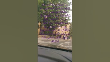 تلاوة عذبة رائعة للشيخ ماهر المعيقلي ماتيسر من سورة النباء