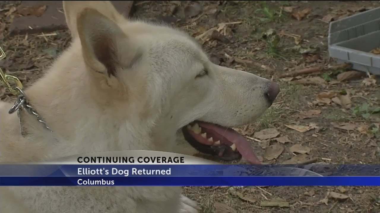 Ezekiel Elliott dog returned YouTube