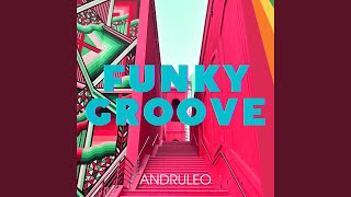 Download lagu Funky Groove