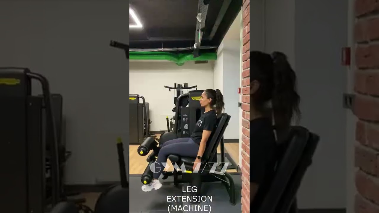 Leg Extension (Machine) YouTube