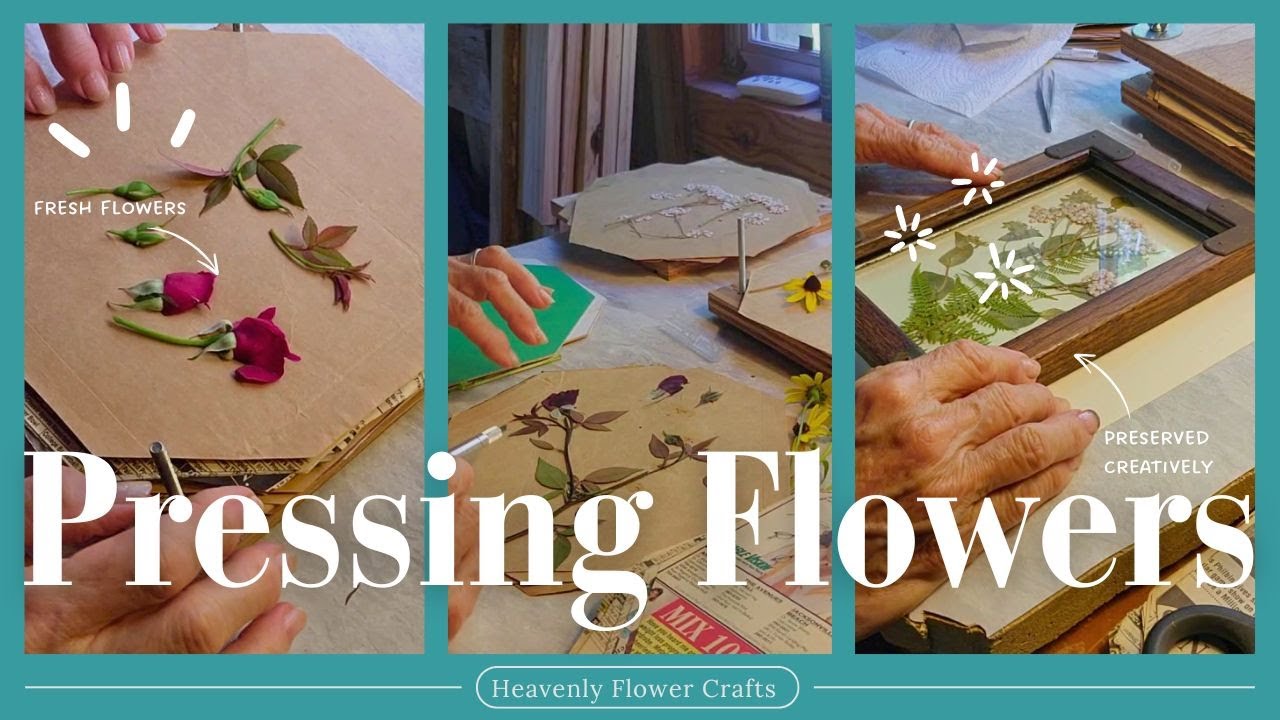 Pressing flowers is so much fun! How to preserve your favorite flowers ...