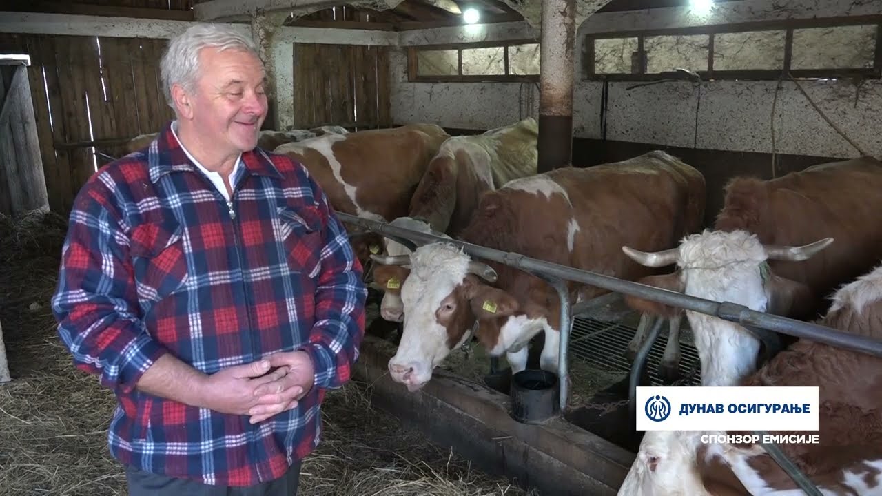 Naša priča ep. 538 25.12.2025. Donja Vrbava, mlečno govedarstvo, porodica Gojković