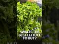 Best Lettuce to Buy for Health (Romaine vs Iceberg vs Leaf)