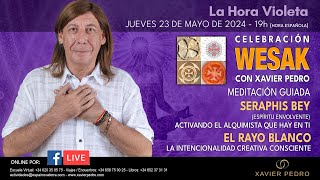 Meditación Hora Violeta: Celebración Wesak 2024 Online.