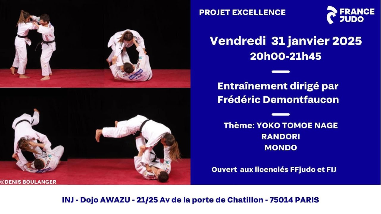 Projet Excellence Frederic Demontfaucon Yoko Tomoe Nage