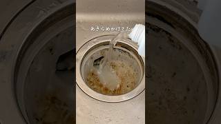 【排水口詰まりの救世主】注ぐだけで一気にスッキリ✨ #掃除術
