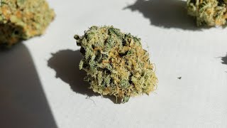 Strain Review - Ice Cream Cake by Seed Junky Genetics