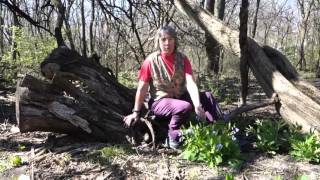 Video: What's blooming in Bloomington?
