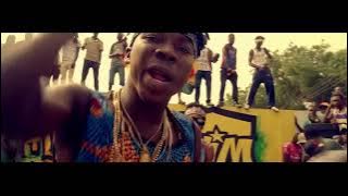 Stonebwoy - Pull Up [Remix] ft. Patoranking ( video)