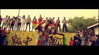 Stonebwoy - Pull Up [Remix] ft. Patoranking ( video)
