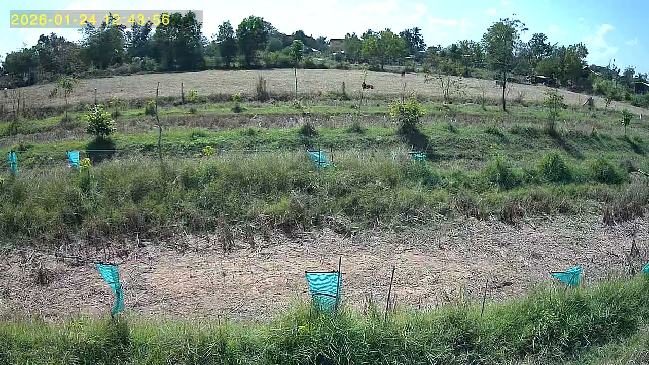 UBox 2026 01 24 124301 3 137