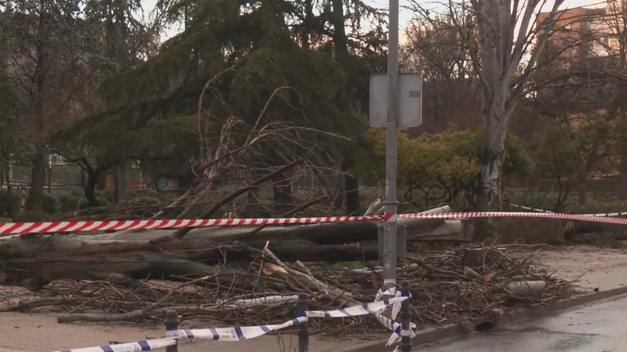 El viento asalta Madrid: árboles caídos y parques cerrados por rachas de hasta 80 km/h