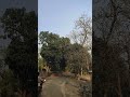 Village view #village #natural #villagelifestyle #viral #youtube #shorts #trendingshorts
