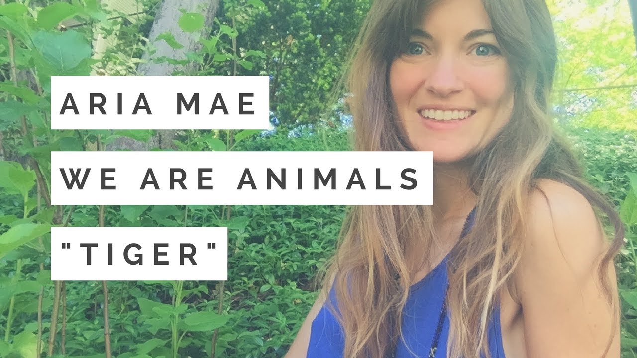 Tiger Totem - Spirit Animal Guided Meditation #2