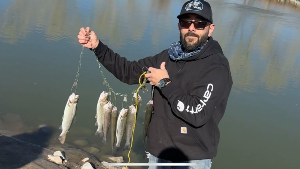 Secret bait reveal & Ducks catching fish #urbanfishing #rainbowtrout ...