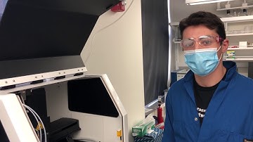 Look Into the Lab Series - Nikolai Slavov Lab Part 1