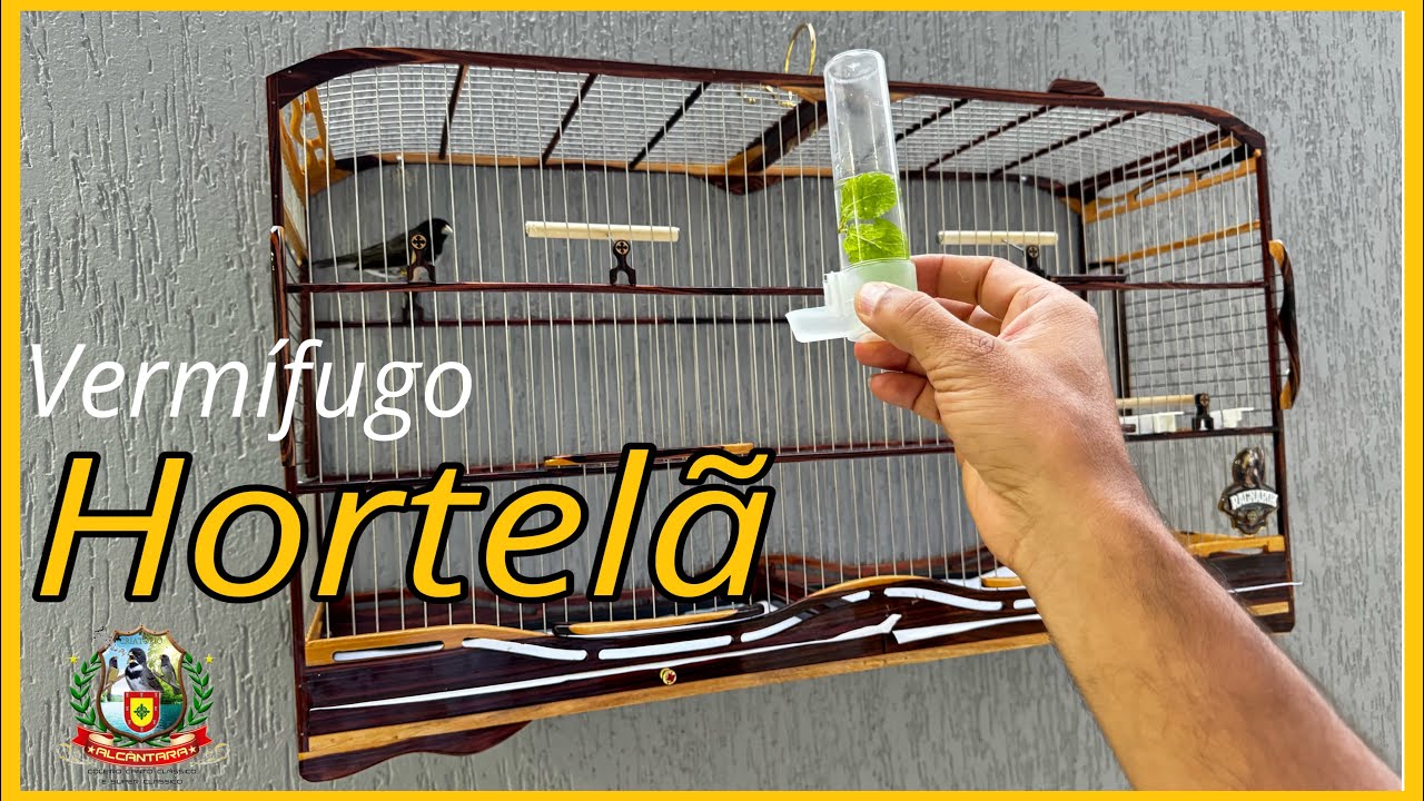 VERMÍFUGO NATURAL DE HORTELÃ PARA PÁSSAROS