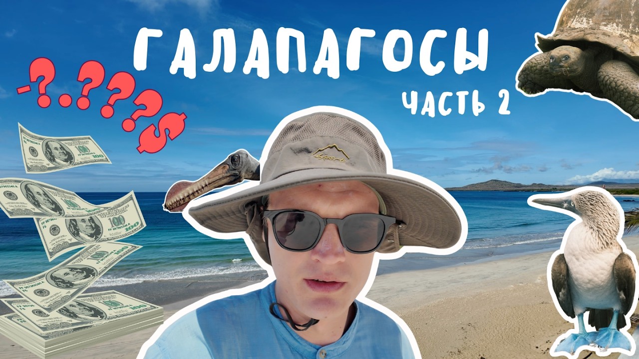 Сколько стоит слетать на Галапагосы и стоит ли оно того?