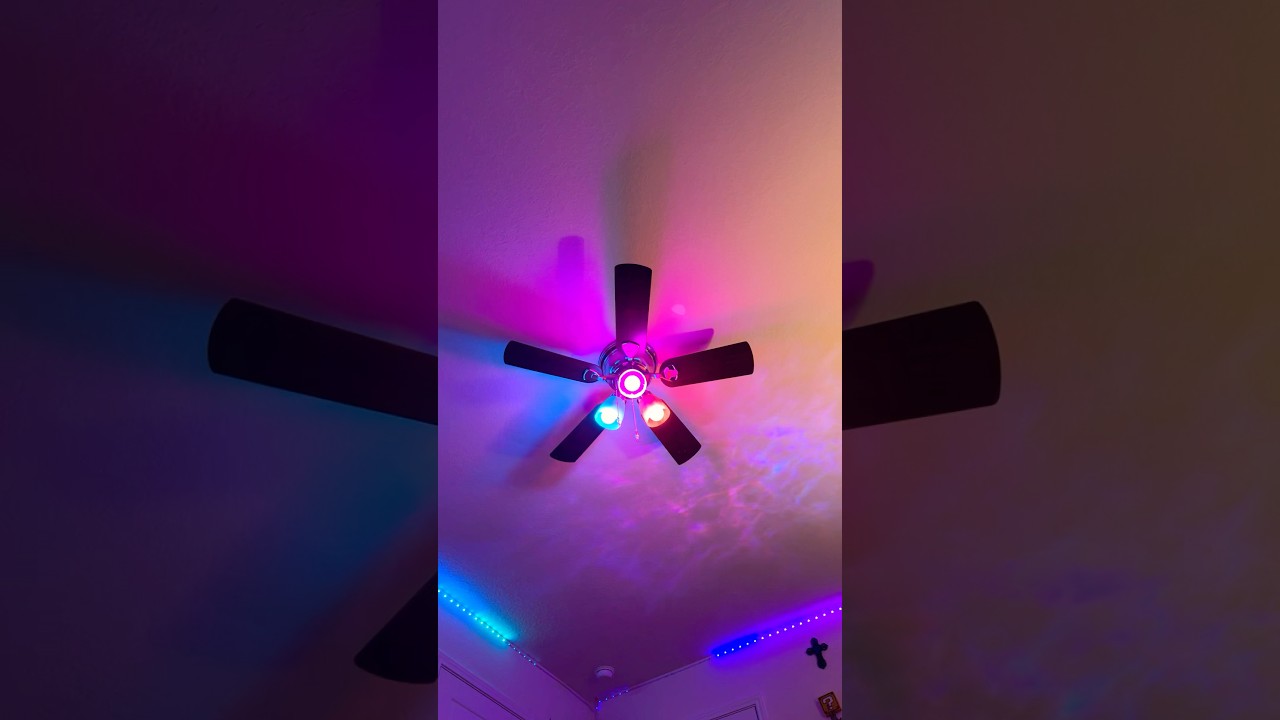 Collab with rainbow lights 