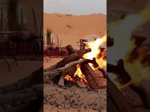 يا بنت المدينة عليك نغني