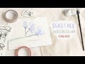 Sweet Pea Watercolour Timelapse