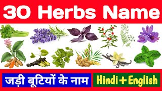30 herbs name english to hindi, जड़ी बूटियों (औषधियों) के नाम, herbs name, uses, benefits, in hindi screenshot 4