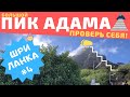 Маршрут по Шри-Ланке. Большой Пик Адама. Налатания / Делхаузи