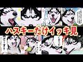 【面白い】ハスキー好き必見のハスキーだけいっき見！楽しい瞬間の連続【アニメ】【漫画】【世界の終わりに柴犬と】