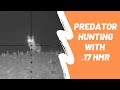 Predator hunting with my .17 HMR | Got a fox, missed a jackal - BHT