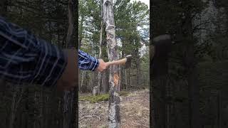Hatchet Job... Falling!