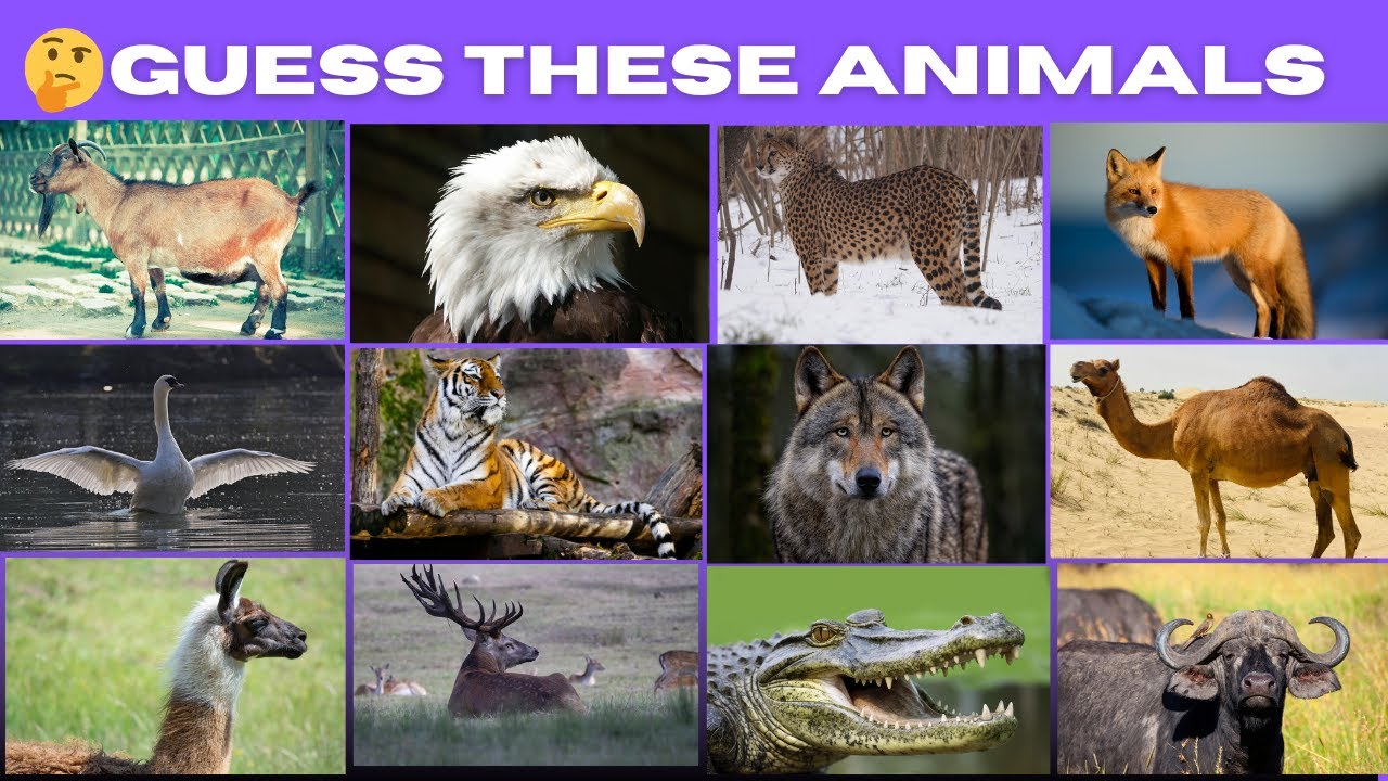 Can You Guess These Animals? 🐘🔥 Hard Animal Quiz for Smart Minds