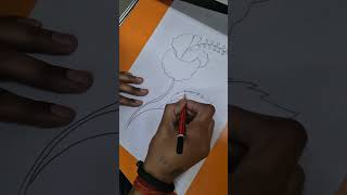 Beautiful Hibiscus Flower Sketch | Simple Drawing #hibiscus #flowers #shorts