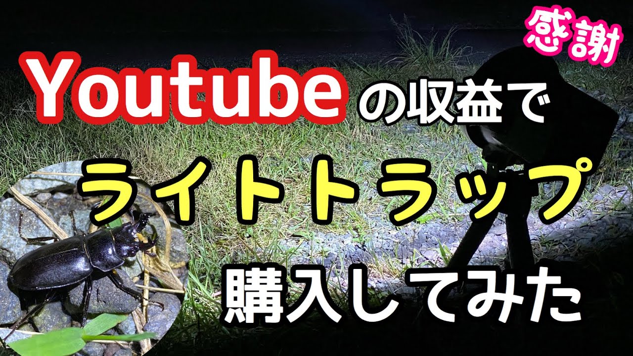 Lucanus(プロフ必読)ライトトラップ I bought some lighting equipment with my first YouTube earnings