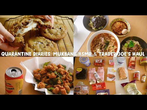 Quarantine Diaries: Trader Joes Haul, Mochi Chocolate Chip CoOkies, Mini Mukbang/ASMR & Name Change