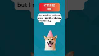 Crack the Code: Can You Solve This Tricky Riddle? #riddle #quizgames #shorts Wealth