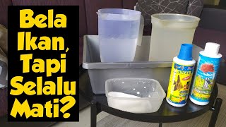 CARA PENYEDIAAN AIR UNTUK IKAN HIASAN - IKAN GUPPY