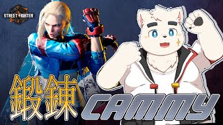 【BFL】これは僕が最高のキャミー使いになるまでの物語